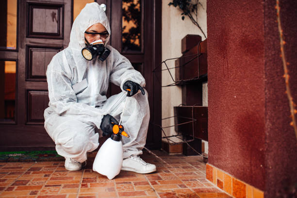 Reliable Wasp Removal contractor in Sebring, FL by Show Me Pest Control